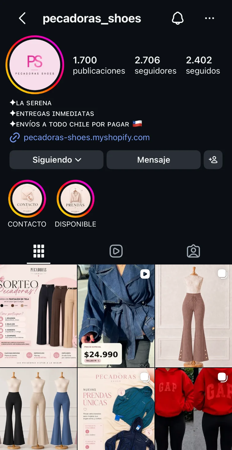 Perfil de Instagram de Pecadoras Shoes después del proyecto: logo nuevo, biografía ordenada con las condiciones de envío, enlace a la tienda en Shopify, portadas de destacadas con la identidad de la marca y publicaciones con precio y talla