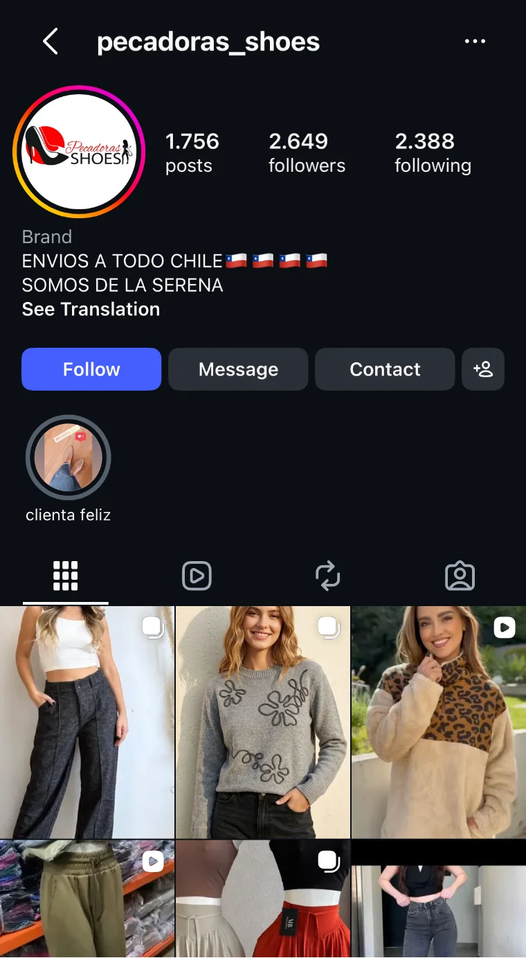 Perfil de Instagram de Pecadoras Shoes antes del proyecto: el logo antiguo, una biografía de tres líneas sin enlace, una sola historia destacada y un feed de fotos sueltas